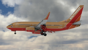 Southwest Airlines "Desert Gold" [Pack] w/Cabin PMDG 737-7H4 thumbnail 5