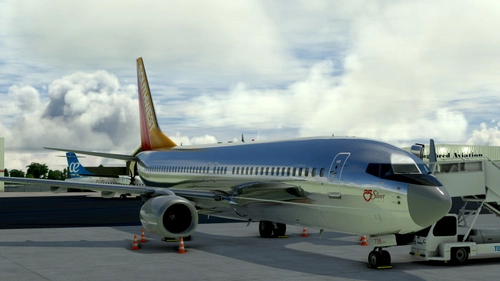 Southwest Airlines Silver One *Retro*