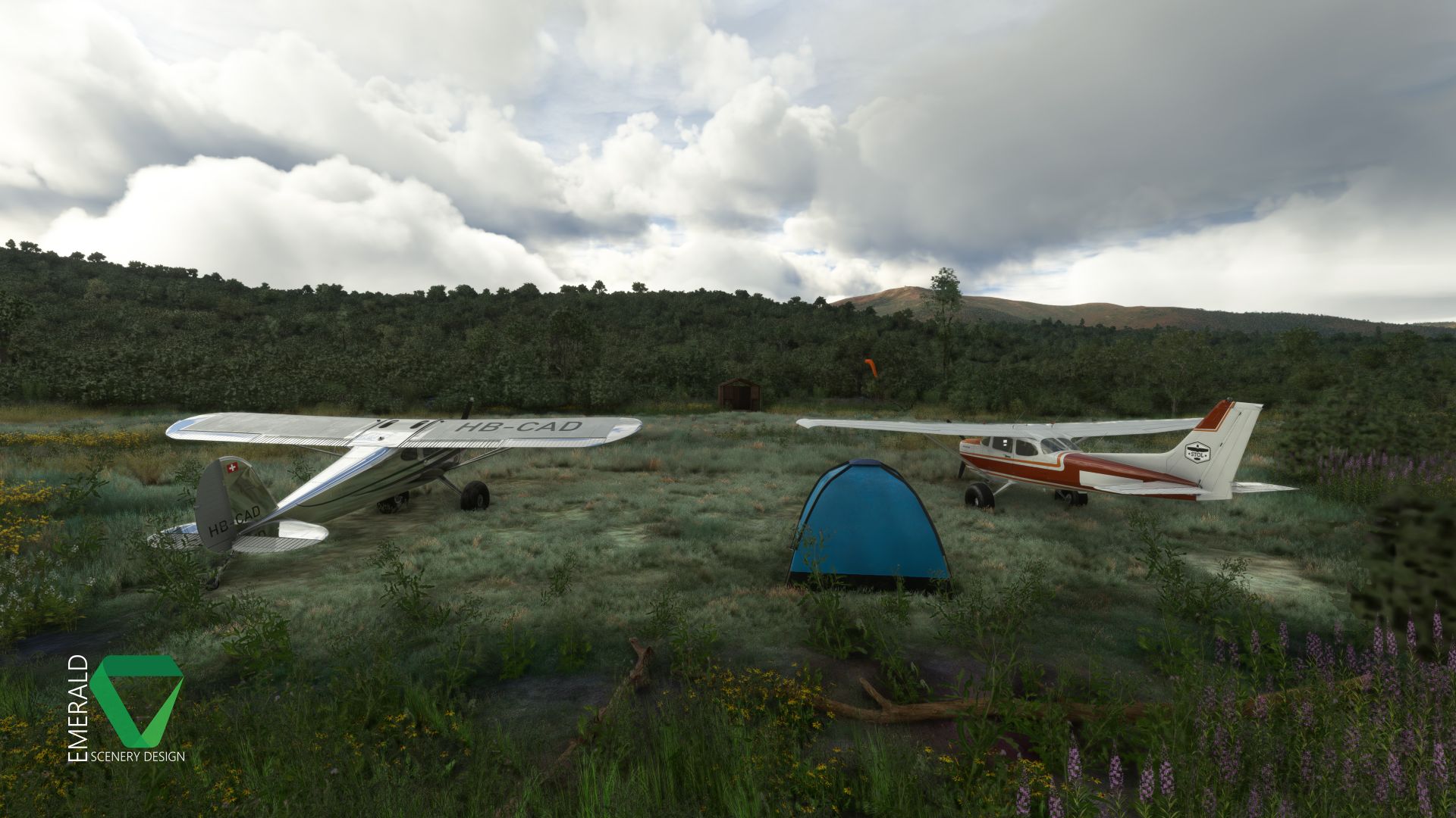 Stampede Airport, Alaska (Z90) - Image 1