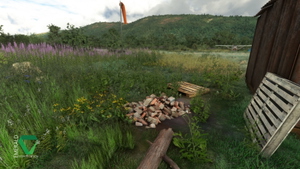 Stampede Airport, Alaska (Z90) thumbnail 5