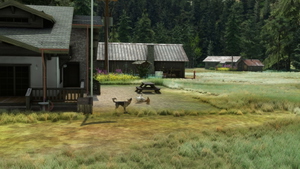 Taylor Ranch Landing - 09ID thumbnail 12