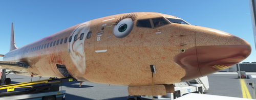 The THiNG - PMDG 737-800SSW