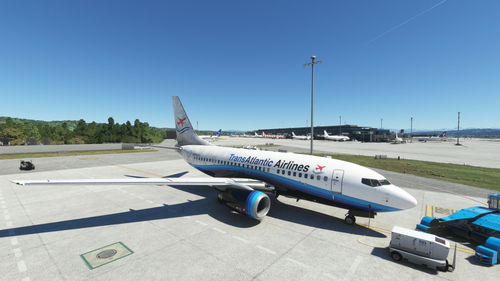 TransAtlantic Airlines PMDG 737-600 (HB-I10)