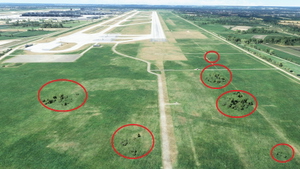 Tree Fix of SIM-WINGS Munich V2 EDDM thumbnail 1