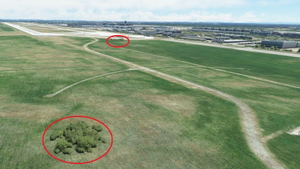 Tree Fix of SIM-WINGS Munich V2 EDDM thumbnail 2