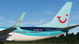 TUIFly / TUI (Fleet Package) - PMDG 737-800 thumbnail 1
