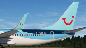 TUIFly / TUI (Fleet Package) - PMDG 737-800 thumbnail 2