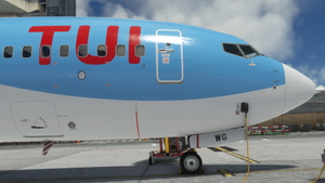 TUIFly / TUI (Fleet Package) - PMDG 737-800 thumbnail 11