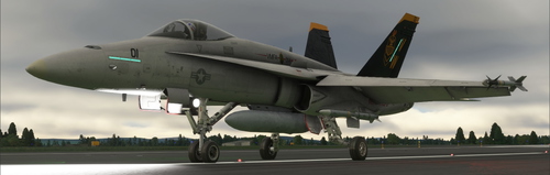 VMFA 314 CAG Livery