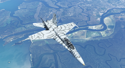 VMFA(AW)-224 F/A-18C Bengal Stripes