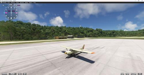  Reims Rocket, Bush Divers livery
