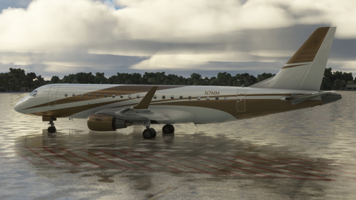 N7MM Private VIP (FSS Embraer E175) Fictional