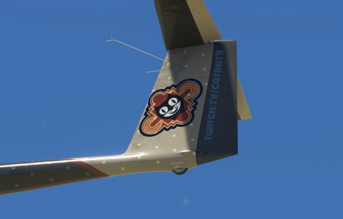 Got Friends Discus 2c Livery: Catbat9