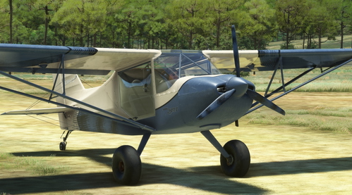 Flyboy Simulations RANS S6S Repaint Livery:  IDK