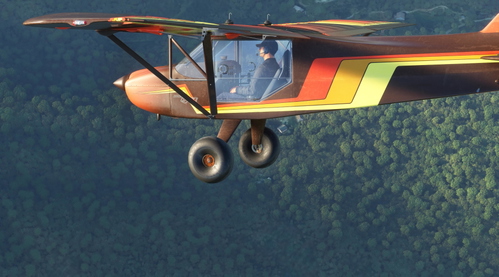 Flyboy Simulations RANS S6S Repaint Livery: Wizard Wagon