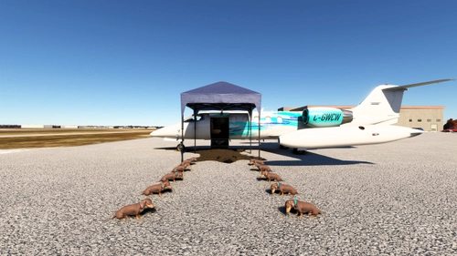 //42 Campout Dachshund Guard for FSW Learjet 35a