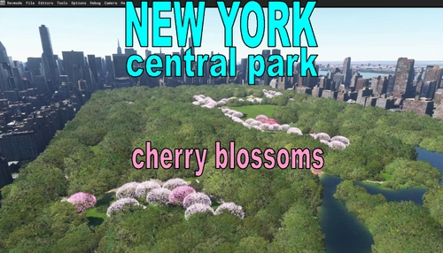 NEW YORK  centralpark cherryblossoms,effect scenery