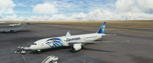 4SIMMERS BOEING 787-9 EGYPTAIR