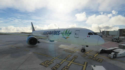 [DISCONTINUED] - HorizonSim Boeing 787-9 Air Caraibes 2017 Dirty 8K