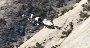 IRIS A-10 Thunderbolt II - Full Aircraft   (Native Conversion) thumbnail 6
