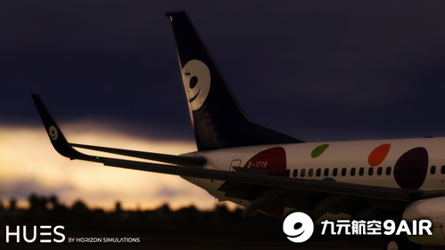 9 Air  Fleet Pack | PMDG 737-800