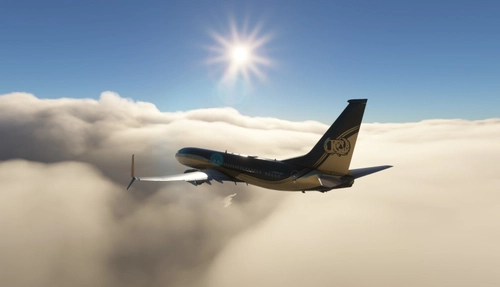 737-800 BBJ2 ChaseAir [Fictional] Golden Wing Livery [Gold][GD]