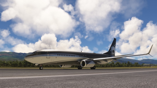 737-800 BBJ2 ChaseAir [Fictional] White Dragon Livery [DG]