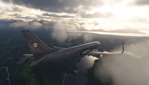 737-800 BCF  ISERALI AIR FORCE [Fictional]  [661]