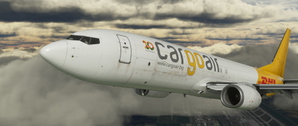 737-800BCF CargoAir (LZ-CGB) weathered thumbnail 4