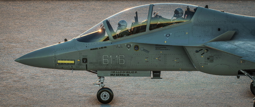 75th Anniversary RSV (Reparto Sperimentale Volo) - M-346 | IndiaFoxtEcho