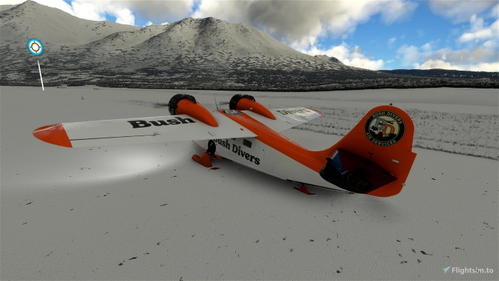 Big Radial Goose Skis Bush Divers Livery