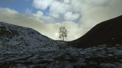 Sycamore Gap Tree