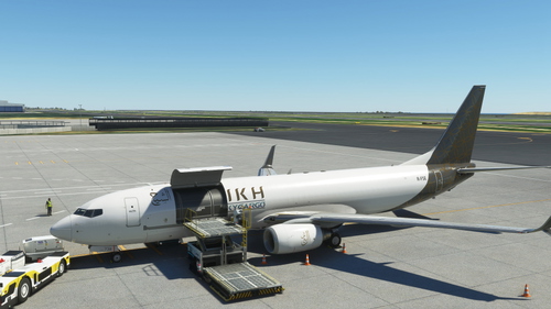 8K Al-Sheikh Airlines PMDG B737-800 BCF