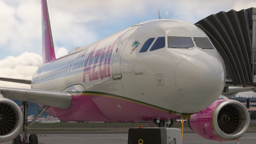 [8k] Azul PR-YYN "Outubro Rosa" Fenix BFU