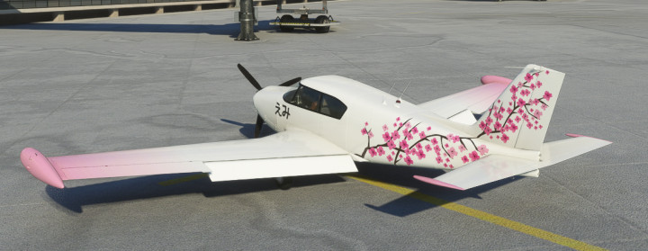 A2A Comanche Aymie's Sakura - Image 2