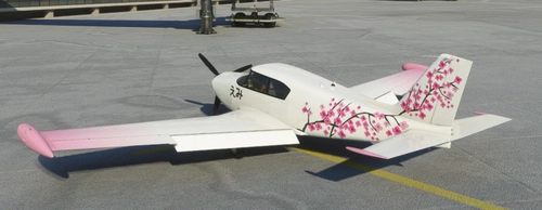 A2A Comanche Aymie's Sakura