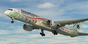 Aeroméxico XA-ADL "Quetzalcoalt" | HS B787-9 thumbnail 2
