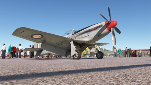 Aeroplane Heaven P-51D (South  African  Air  Force  , Patsy Dawn ,Nr:325)