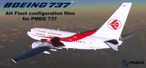 Air Algerie 737 config files for PMDG 737s  100%  accurate