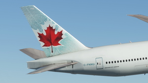 Air Canada (Toothpaste - C-FIVM & -FNNU) - PMDG 777-300ER thumbnail 13