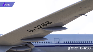 Air China  B-1266 With Cabin STD 8K PMDG 777-300 ER thumbnail 6