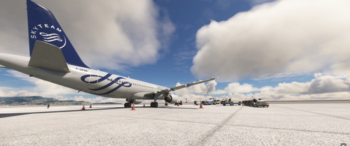 Air France (F-GFKS) SKYTEAM | Fenix A320 V2B2