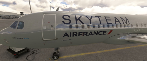 Air France SKYTEAM 2-pack | Fenix A320 V2B2