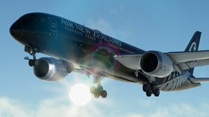 Air New Zealand ZK-NZE | Boeing 787-9 | (8K + 4K) thumbnail 7