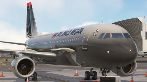 Air Palanca Negra (2)