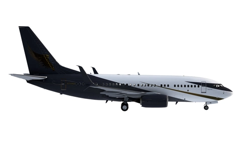 Air Valkyrie| N73VKE | Microsoft Flight Simulator | PMDG 737-BBJ