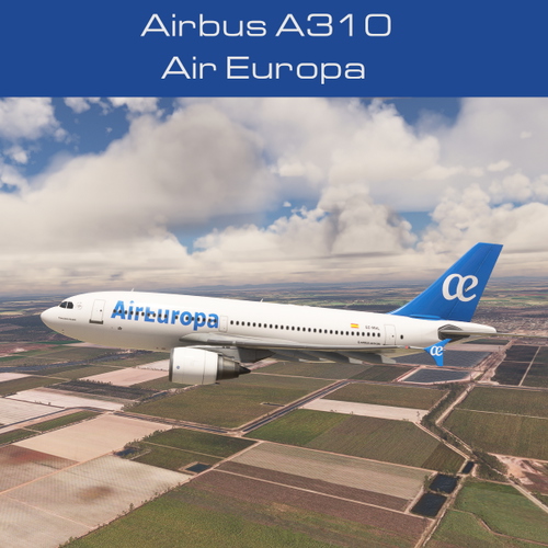 Airbus A310 Air Europa