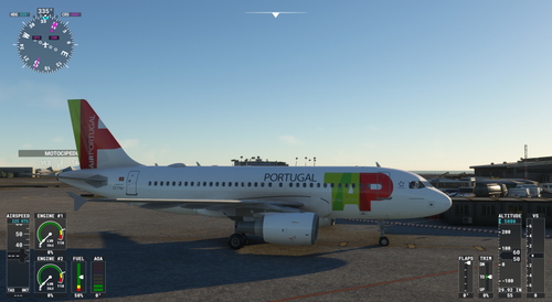 Airbus A319 TAP CS-TTM