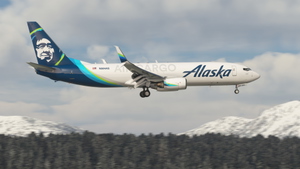 Alaska Air Cargo (N584AS) - PMDG 737-800BCF thumbnail 4