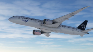 All Nippon Airways (ANA) JA875A | Boeing 787-9 |  thumbnail 4
